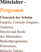 Mittelalter - Programm Ulenreich der Schelm Gaukler, Comedy-Jongleur ,  Zauberer,  Herold und Barde  des Mittelalters. Bankettprogramme, Ritteressen, hfische Tafelei...